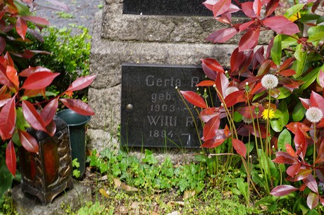 Bad Godesberg